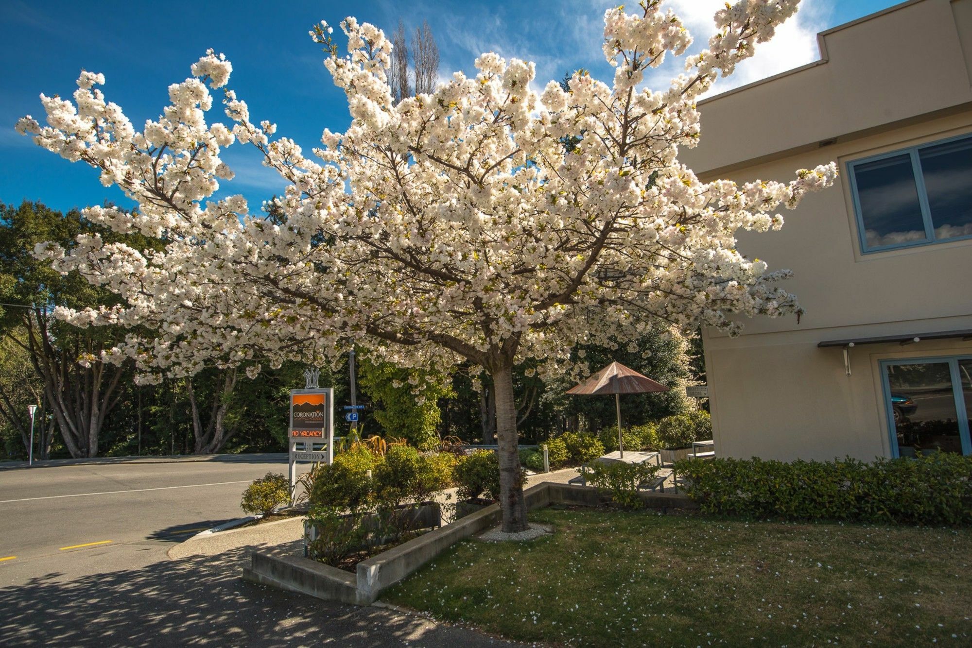 Coronation Lodge Queenstown Exterior photo